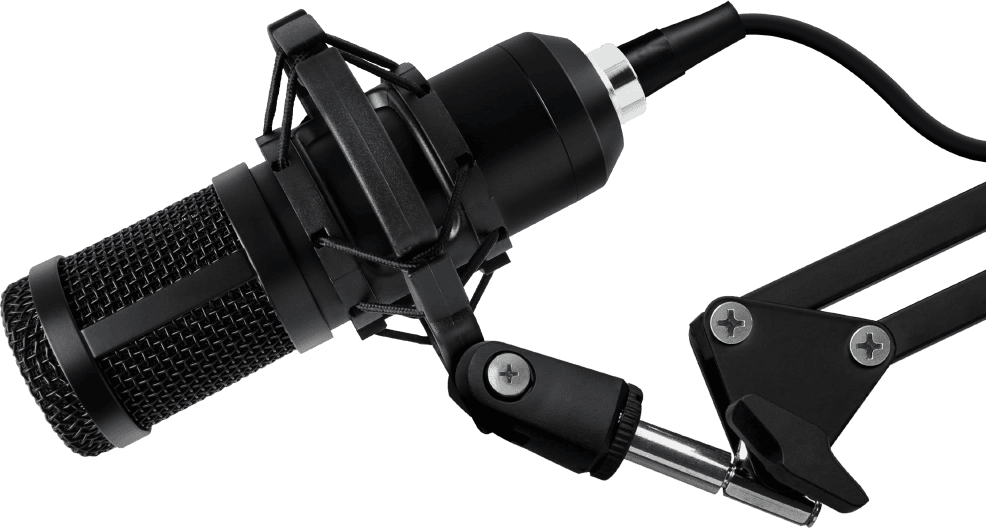 Microfone profissional preto